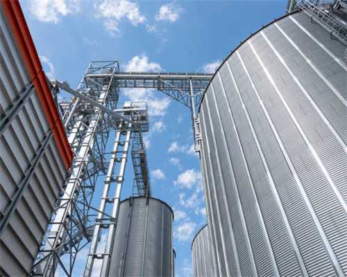 “五彩”奋斗之路！看威海这个农业大镇的乡村振兴路