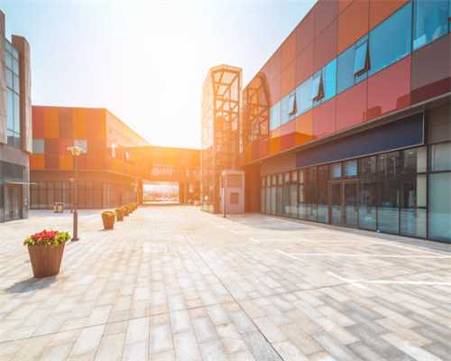 中厦国颐半固态电池智慧工厂及共享换电项目举行开工仪式