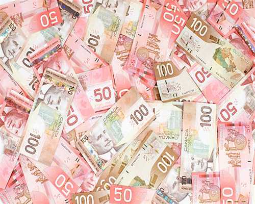 金龙羽跌2.01%，成交额9901.11万元，主力资金净流出810.85万元