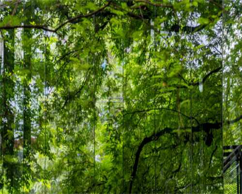 爆燃致3死5伤背后的东兴化工：当地纳税大户，1月被列为老赖