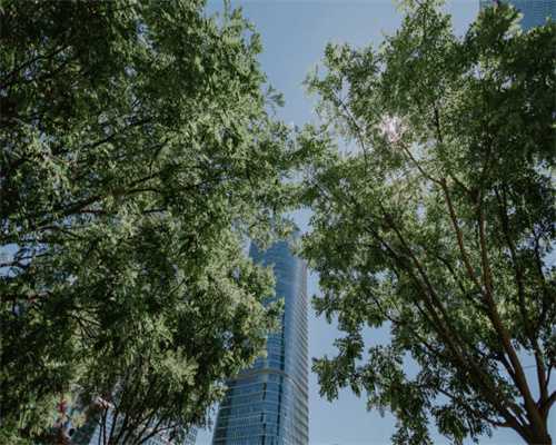 株洲市水务集团：不惧烈日 全力以赴服务大湖塘片区供水改造项目