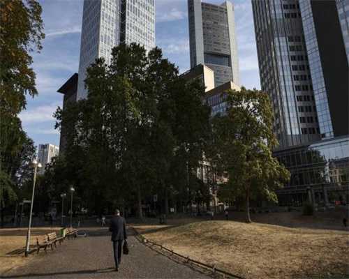 酒店预订后“不可取消”！这事到底谁说了算？