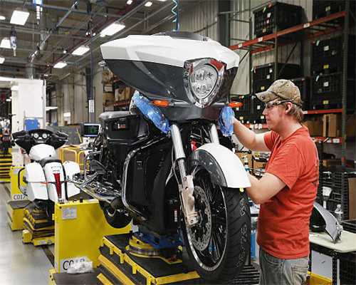 【奔流·记者帮】兰州百年古树开裂倒伏 广东专家赴兰“做手术”