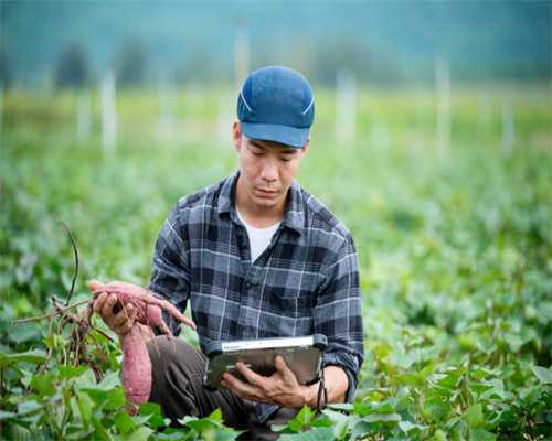 新中式商业综合体来了!预计明年年底竣工!