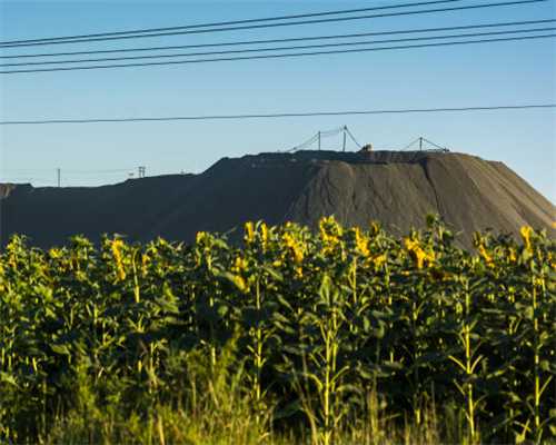 投放7000万！固始城市房地产融资协调机制“白名单”项目贷款破冰