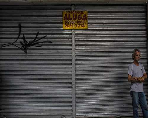 赏菊盛宴来了，就在共青森林公园！剧透→