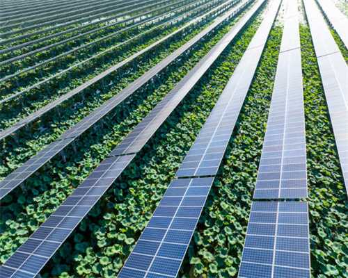 棚户区改造、新建城市主次干道...未来十堰这么建