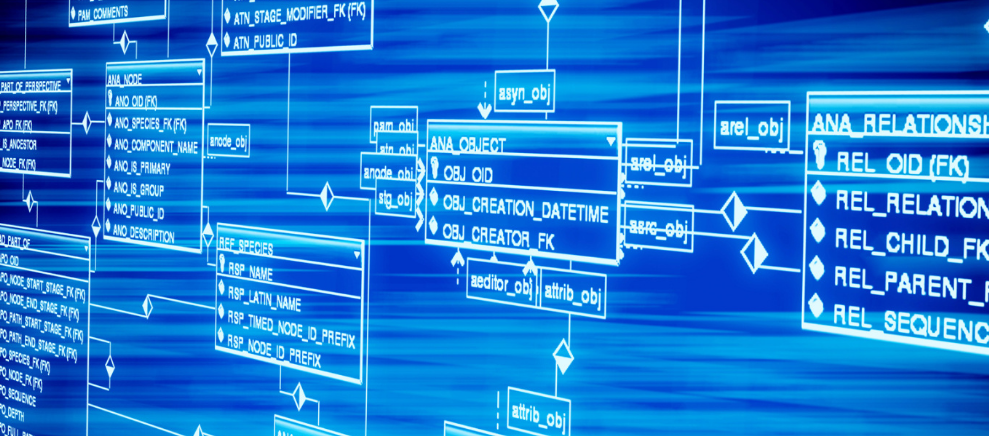 被越秀承包的创新城，买房怎么选？