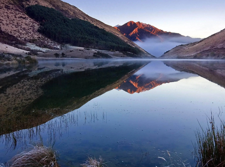 礼嘉走向“城熟”，湾区的这块稀缺“璞玉”藏不住了